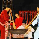 피트리