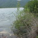 아차실지 이미지