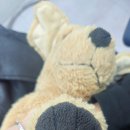 헤이사랑치과의원 이미지