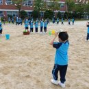 광주교대부속초등학교 이미지