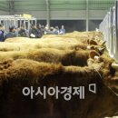 곡성-146 이미지