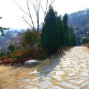 숲쟁이로 이미지