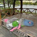 성수동밀도
