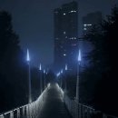 새벽 2시, 비 내린 서울숲 공원 이미지