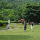 신도초교 이미지