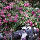 고려동유적지 이미지