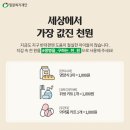 천원부터 이미지