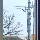 풍어민박 이미지