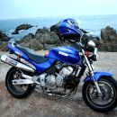 안락2동-3 이미지