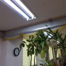 주안해피타운 요양원 이미지