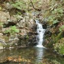 자연요양원 이미지