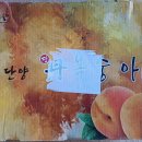 백경농장 이미지