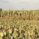 선은농장 이미지