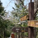 갓바위 해상교(달맞이 공원 인근) | 목포 입암산 등산코스, 정상 말고 벚꽃만 추천하는 이유