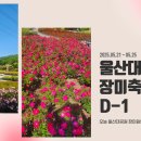 울산대공원 장미축제 D-day 이미지