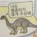 (주)미띤