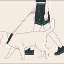 소통컴퍼니