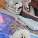 스테이 모량 이미지