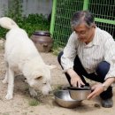 마루캣 네이버블로그
