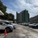 양지분식 | 용인 애견운동장 1300평 천연잔디에서 마음껏 뛸 수 있는 양지파인펫파크 주말 내돈내산 후기