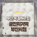 부산시청 | 부산떡집 국내산 햅쌀의 건강한 풍미의 궁잔기지떡 부산시청 포장후기