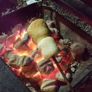 평화강변수목캠핑장 이미지