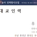 모망포포