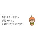 플라워스튜디오호화好花 | 일산예식장 투어 규수당 운정 핑크핑크한 하우스웨딩 감성 무드 (계약 O)
