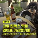 카레앤돈 | 일산 주민이 추천하는 고양 킨텍스 맛집 대화역 근처 애견동반식당 라이프 카레앤커피 후기(주차 있음)