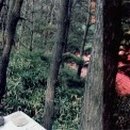 석광민박 이미지