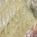 진평종합회수산시장 이미지