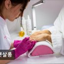 더펫살롱 이미지