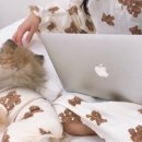 라이크몽 이미지