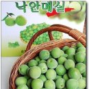 김순남 농장 이미지