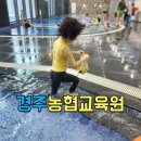조리농업협동조합 | 경주농협 교육원 스파 수영장 6인실 후기