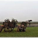 예쁜농장 이미지