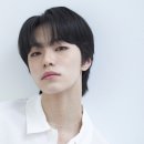 하이버