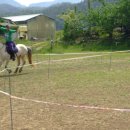 경주목장 이미지