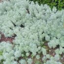 두산위브더제니스오션시티공인중개사사무소 이미지