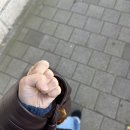 개 웃는날 | 힘들어도 웃는 자가 일류다