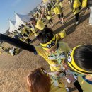 상남동 어린이공원 | 창원 피티에서 회원님들과 마라톤 참가한 후기! (With 부산 미니언즈런 2025)