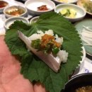 진동둔횟집 Daum카페