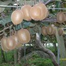 보성상사 이미지