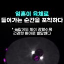 영혼이 육체로 들어가는 순간을 포착하다 이미지