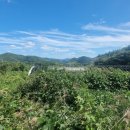 김행수농장 이미지