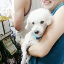 산들가축 이미지