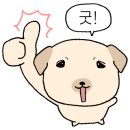 춘천대형약국 이미지