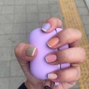 뉴월드나이트 이미지