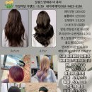살롱드랑데뷰