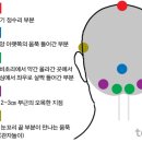 살롱드벨류
